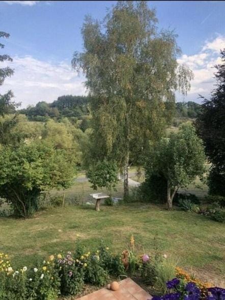 Natural landscape, Garden, View (from property/room), Garden view