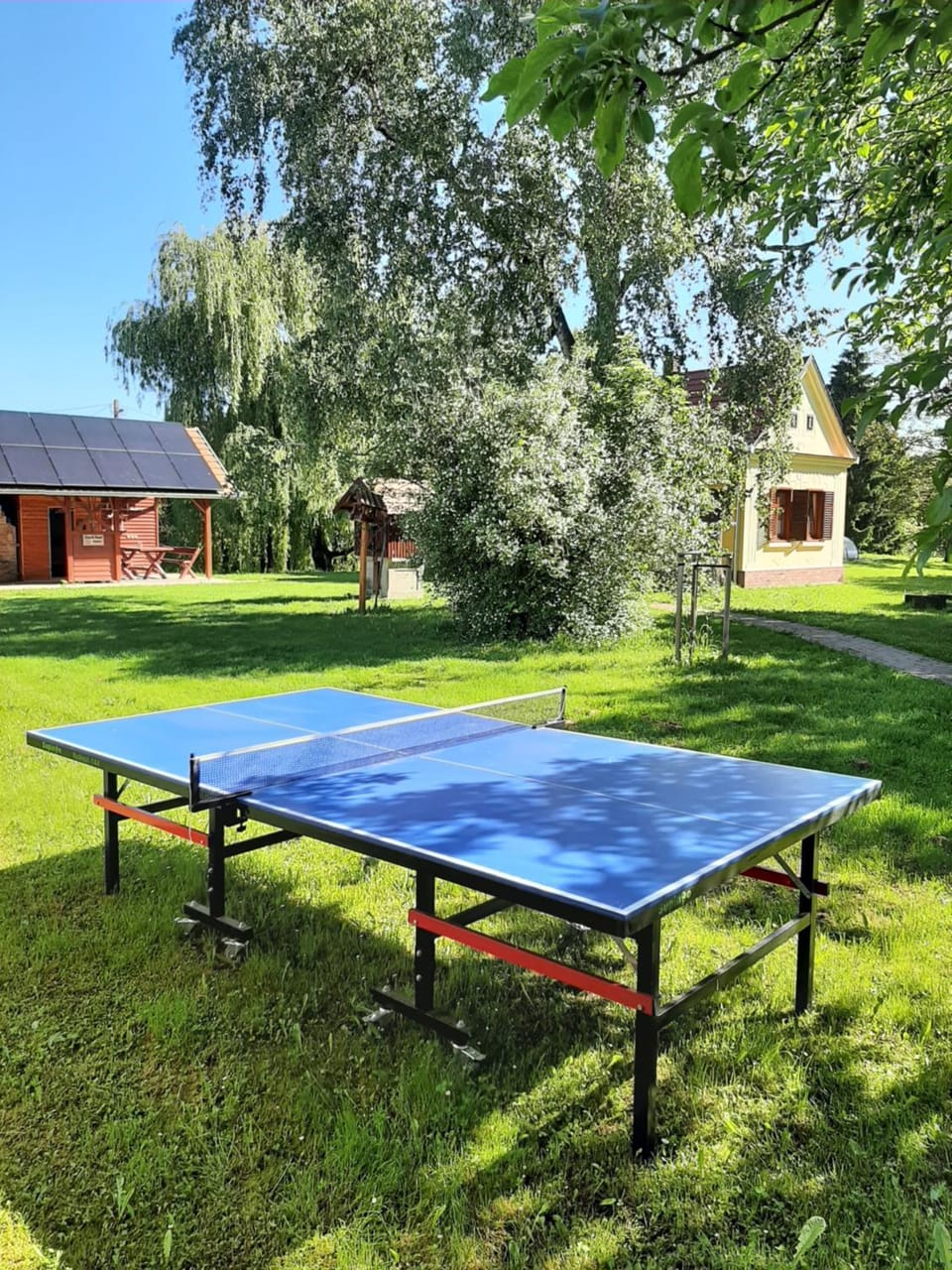 Table tennis