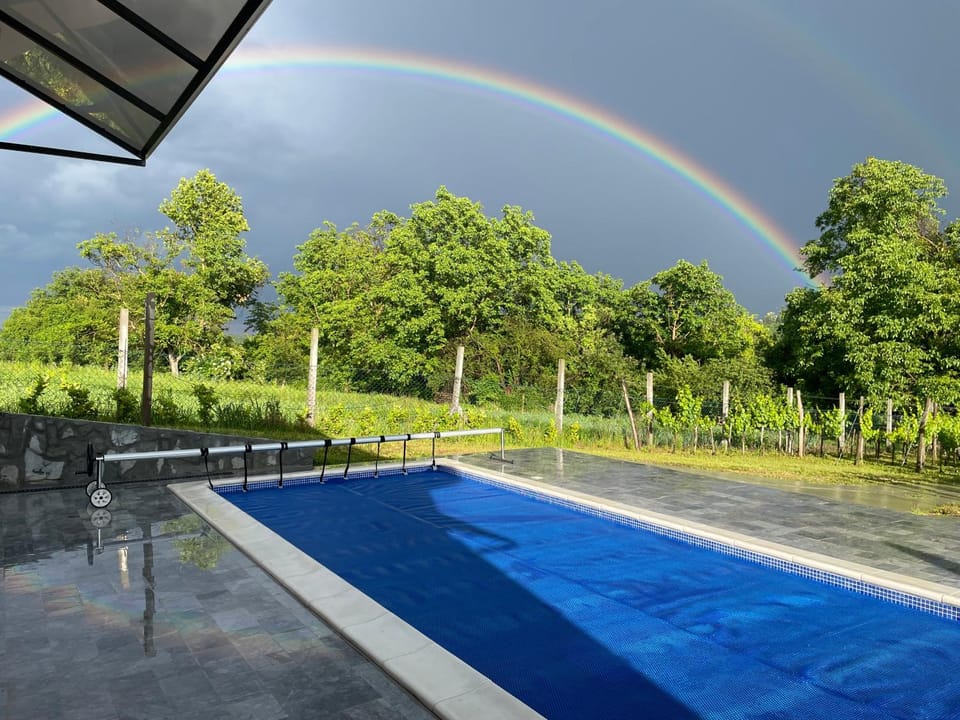 Swimming pool, Swimming pool