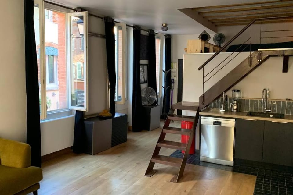 Bel appartement atypique quartier St Cyprien Apartment in Toulouse