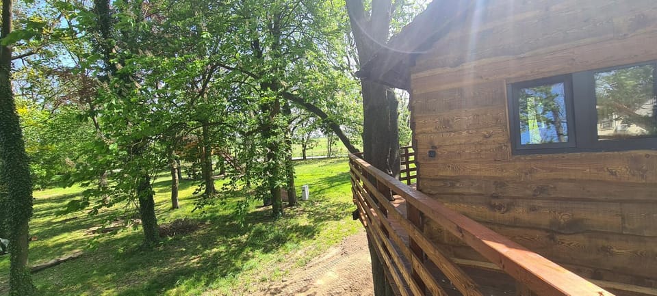 Tree Vill Campground/ 
RV Resort in Lower Silesian Voivodeship