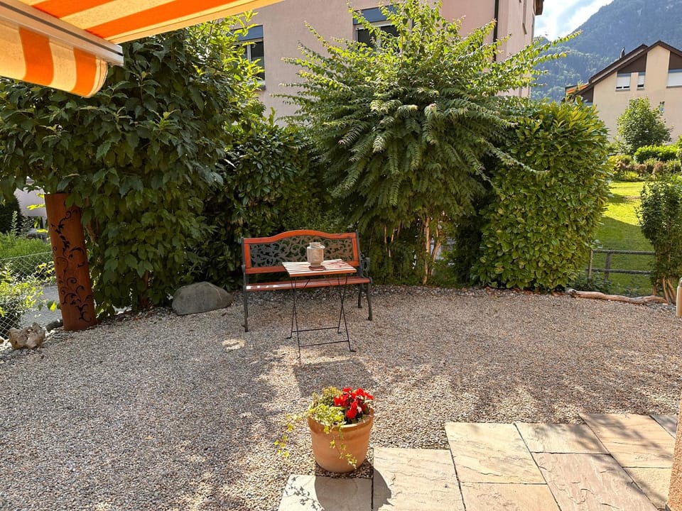Garden view