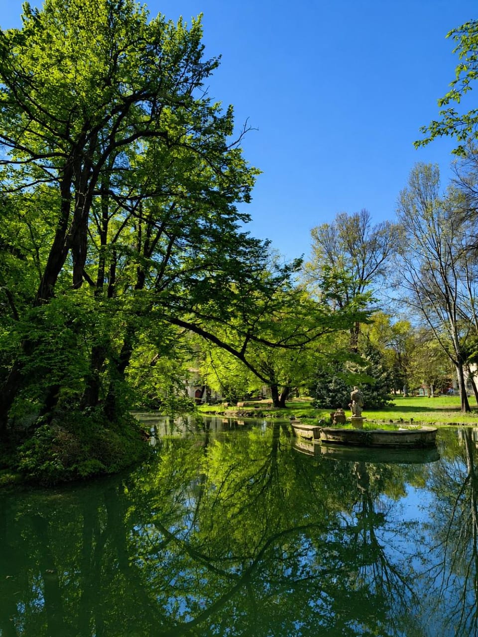 Lake view