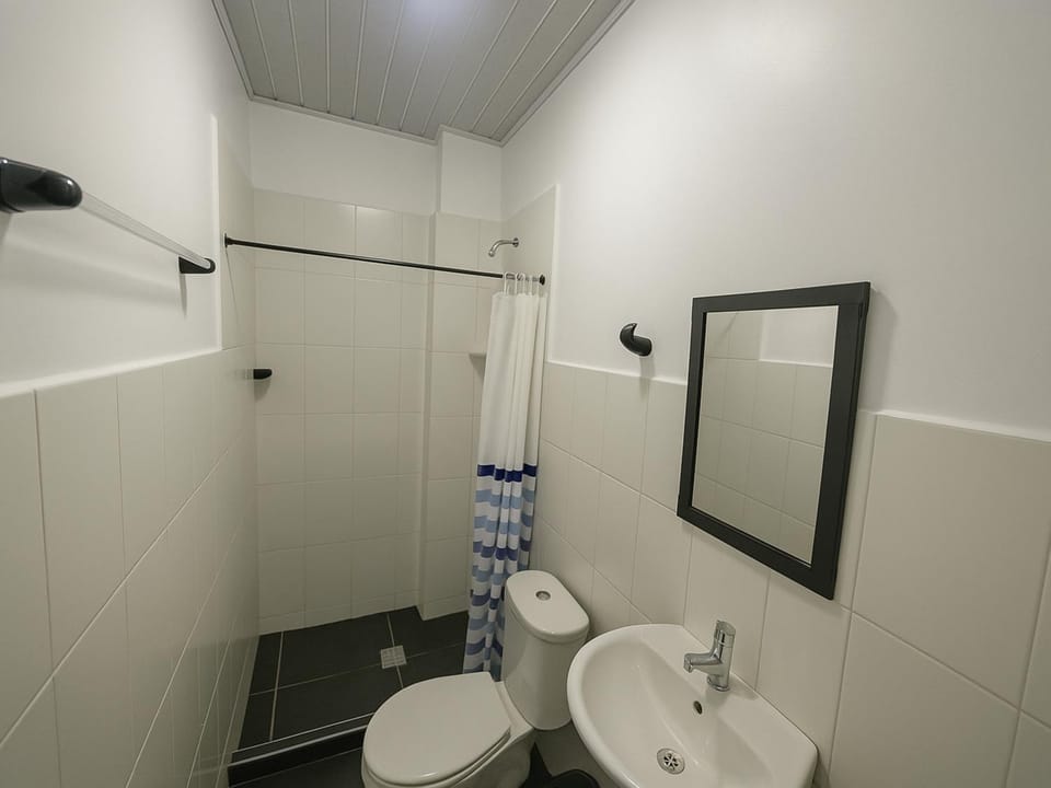 Shower, Toilet, Bathroom, Decorative detail