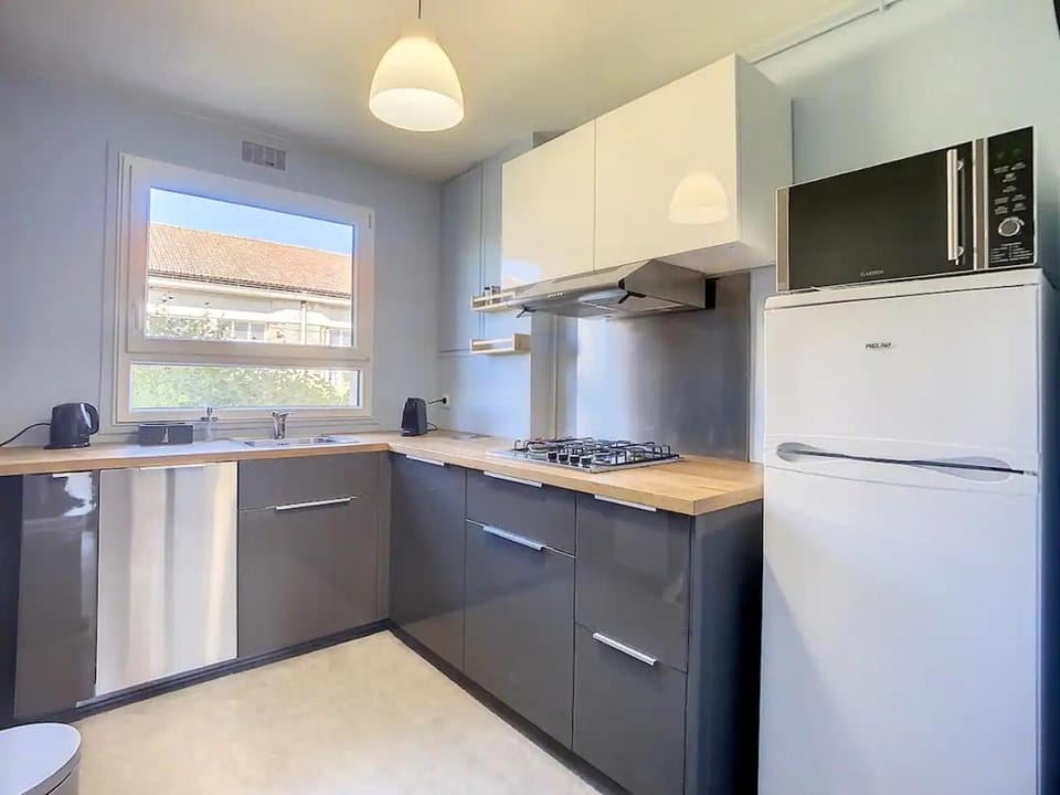 Kitchen or kitchenette, dishwasher, minibar, pet friendly, stove