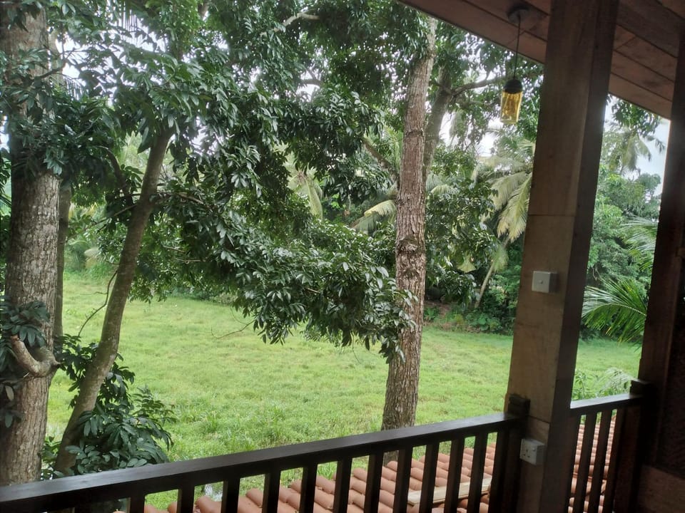 Spring, Day, Natural landscape, Garden, View (from property/room), Garden view