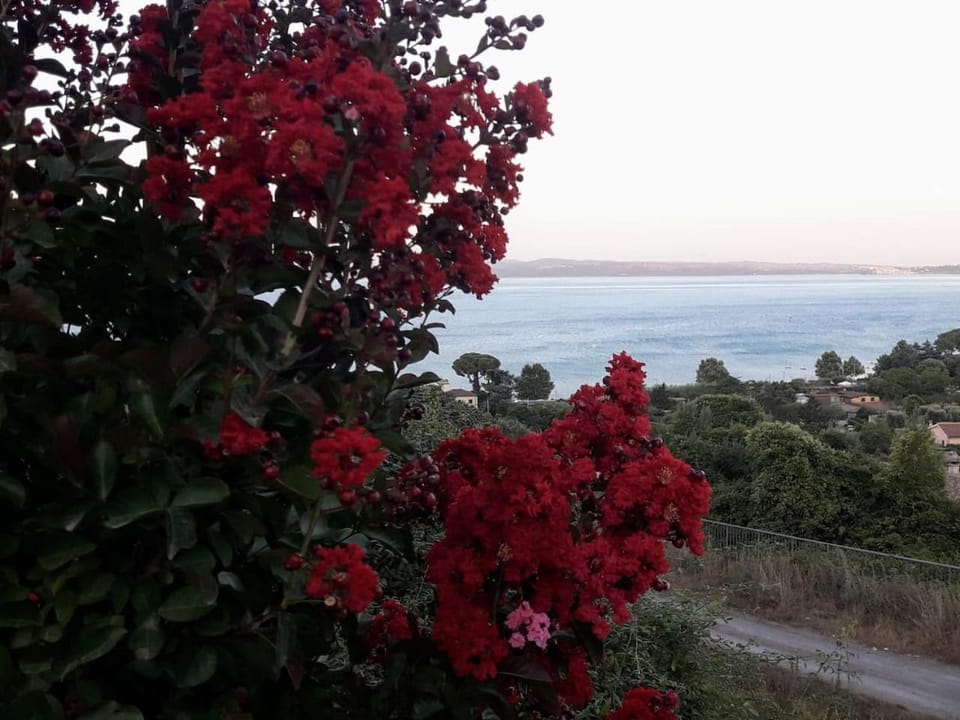Lake view