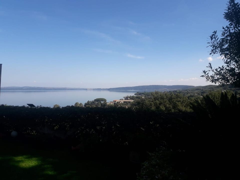 Lake view