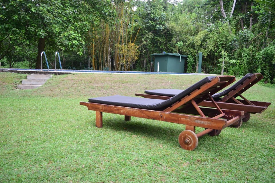 Garden, sunbed