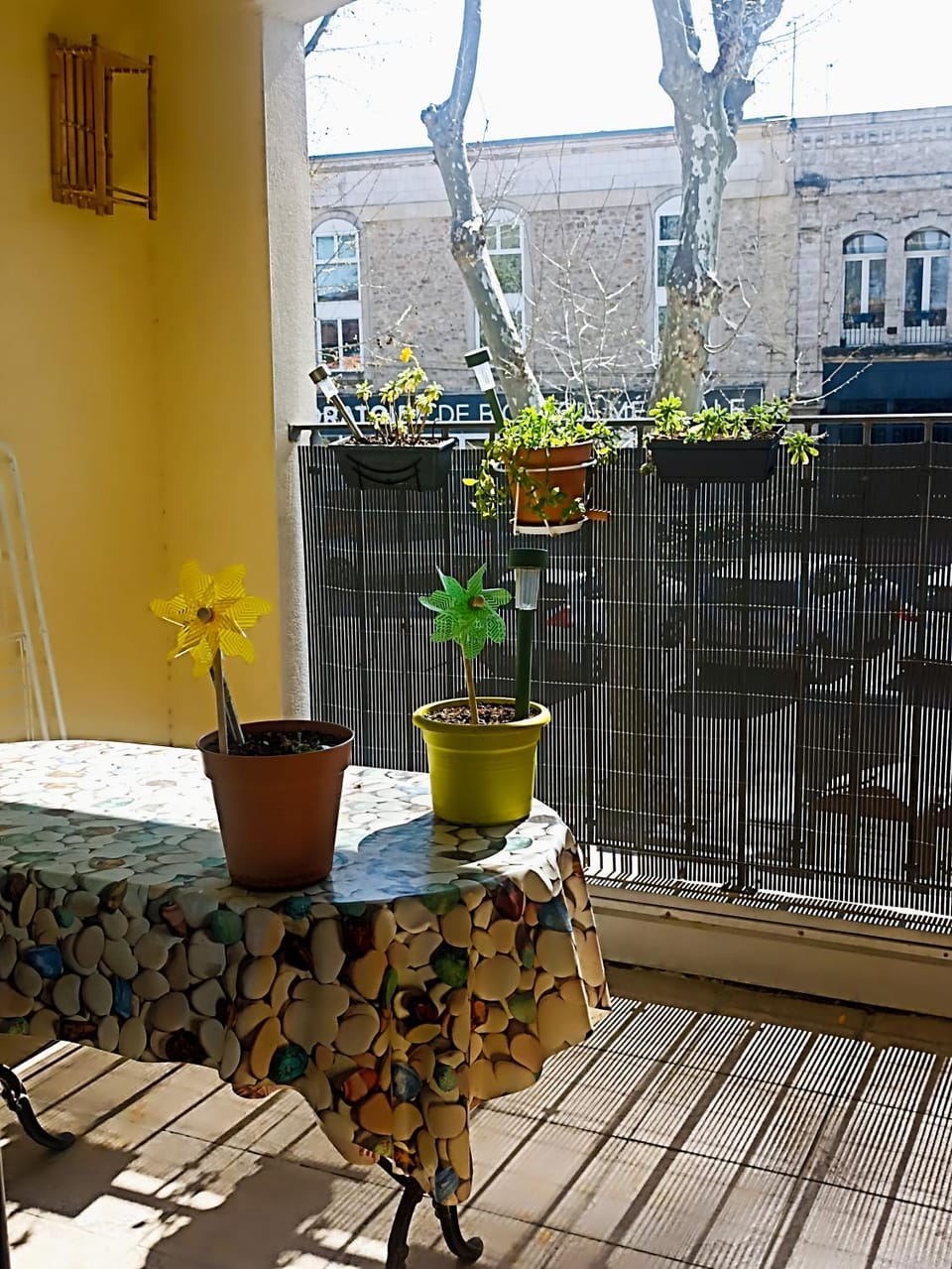 Balcony/Terrace