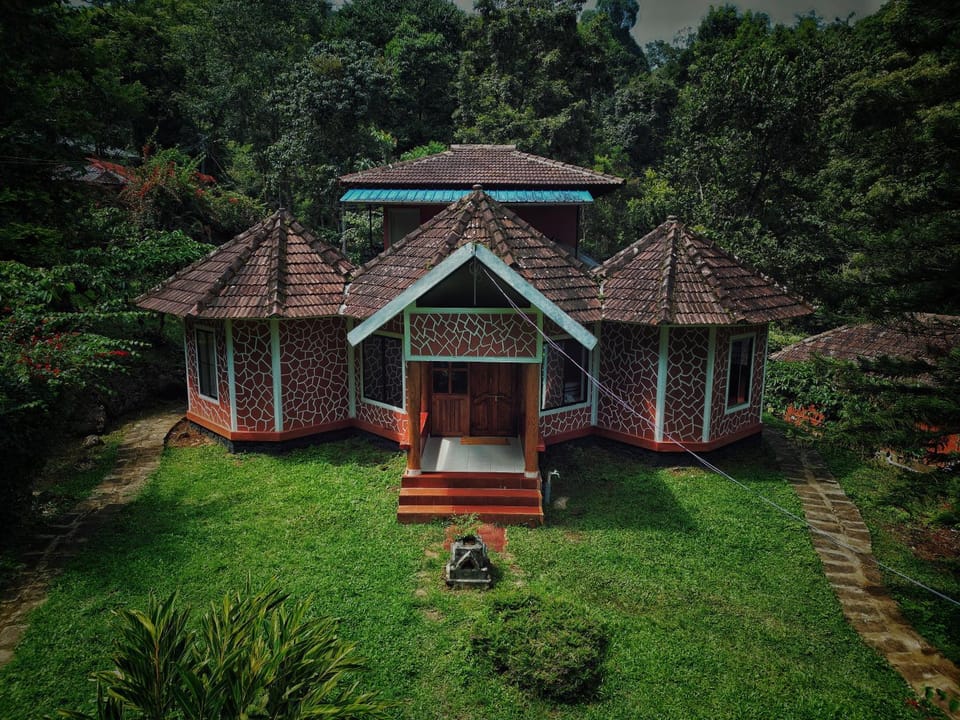 Property building, Garden, Garden view