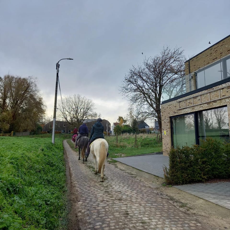 Quiet street view