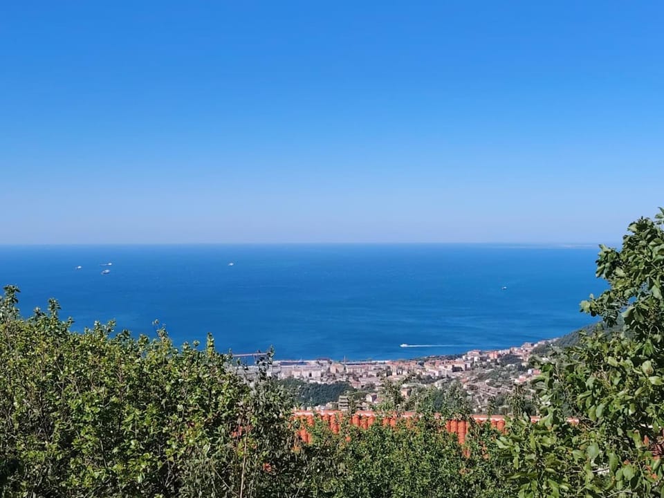 Sea view