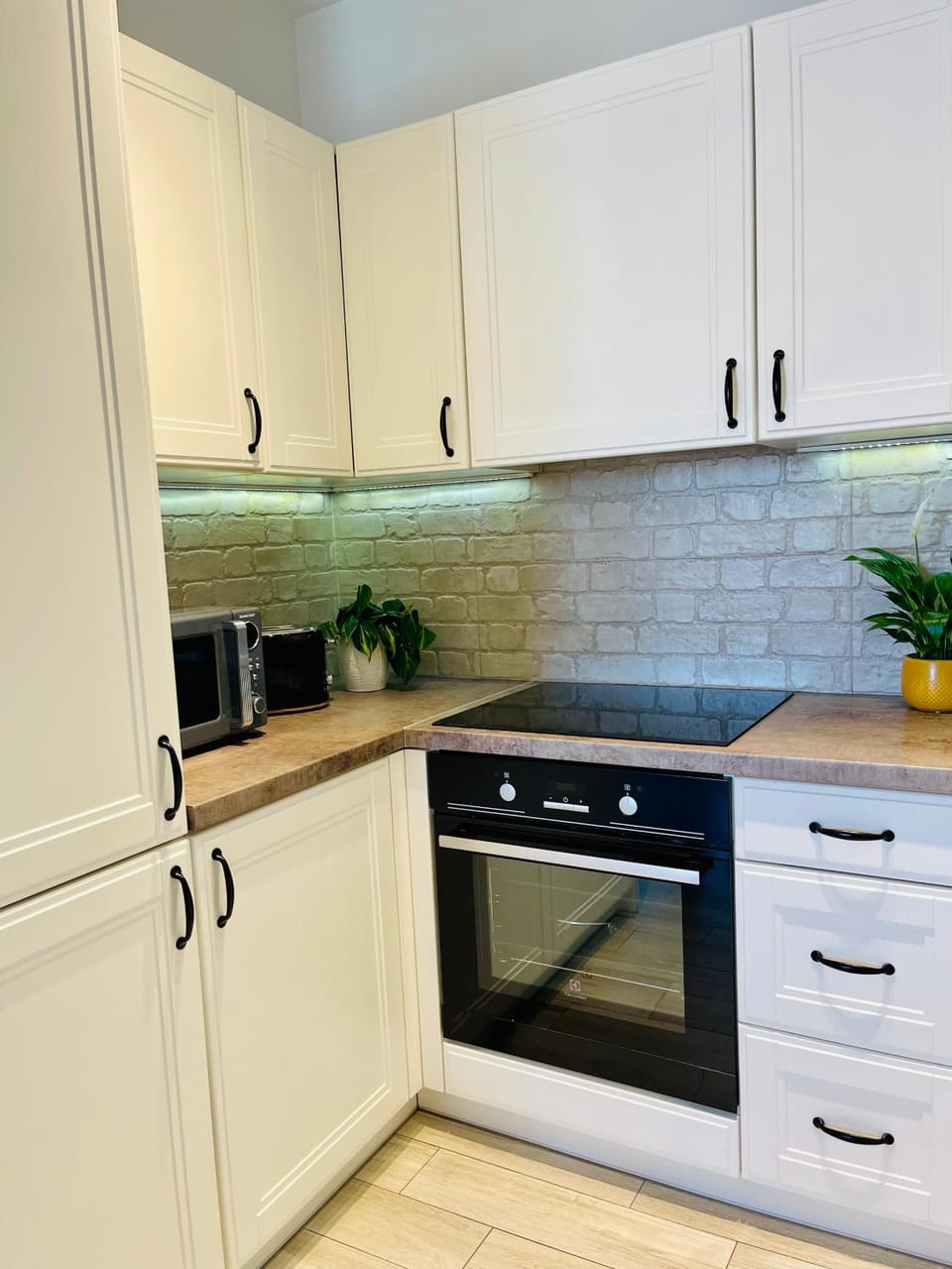 Kitchen or kitchenette, dishwasher, minibar, pet friendly, stove
