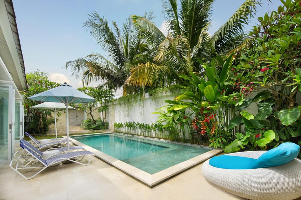 Garden, Garden view, Pool view, Swimming pool, sunbed