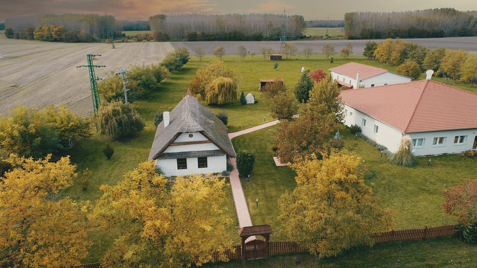 Property building, Spring, Day, Natural landscape, Bird's eye view, Garden, Garden, Garden view