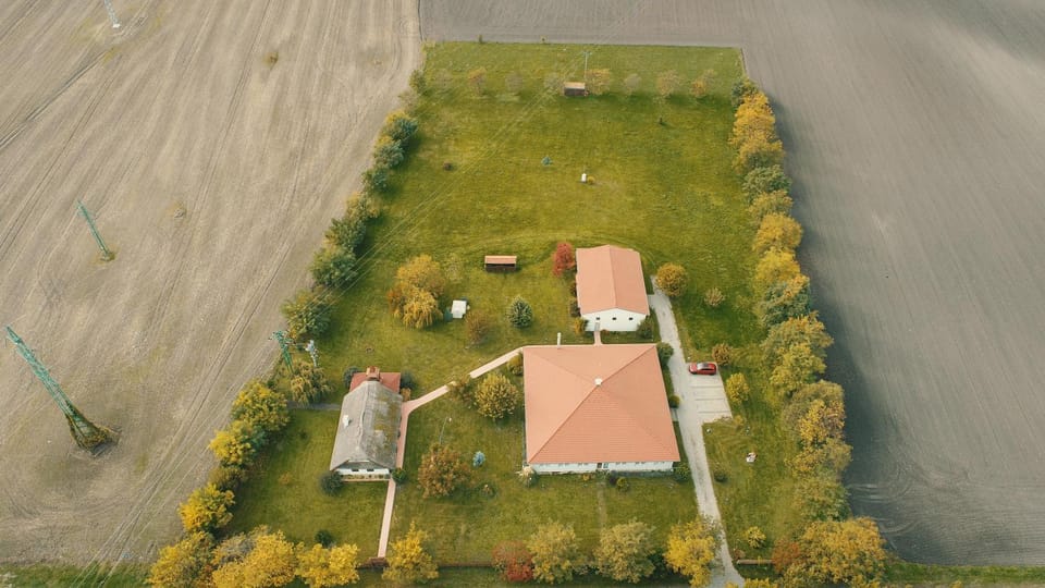 Garden, Garden view, Garden view