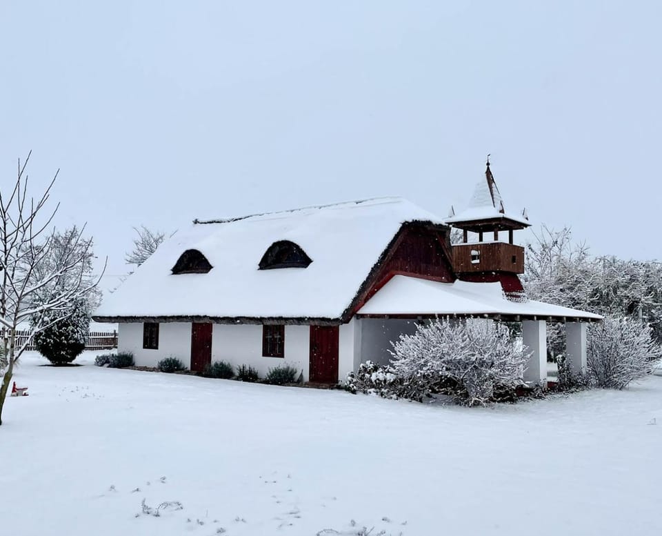Property building, Day, Winter