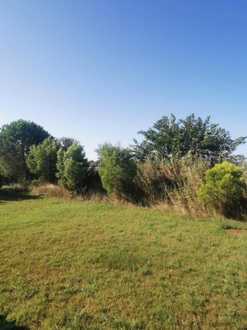 Plages de camargue et logement dans un site calme de rêve Apartment in Arles