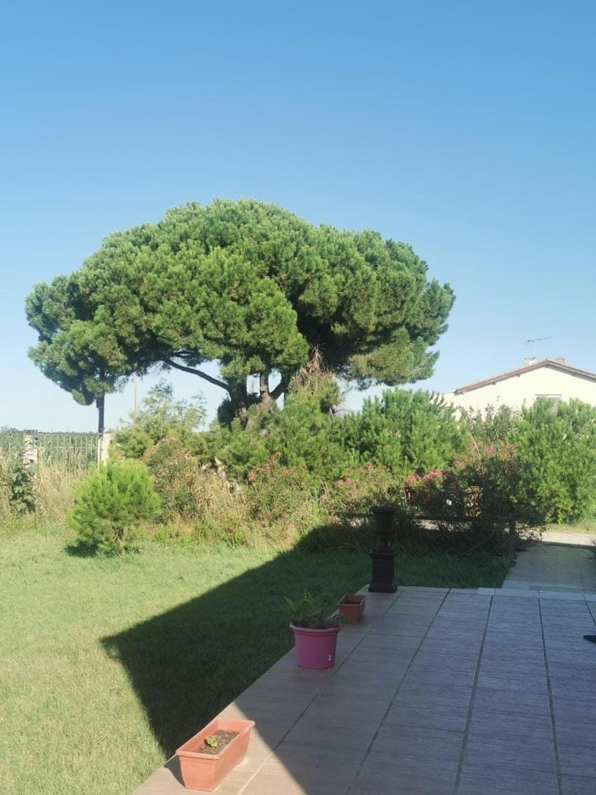 Plages de camargue et logement dans un site calme de rêve Apartment in Arles