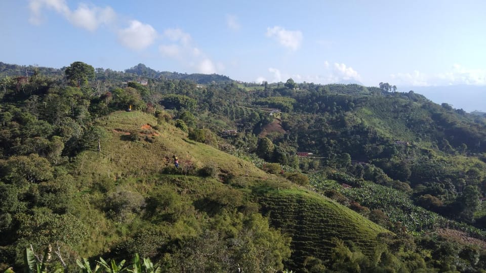 Natural landscape