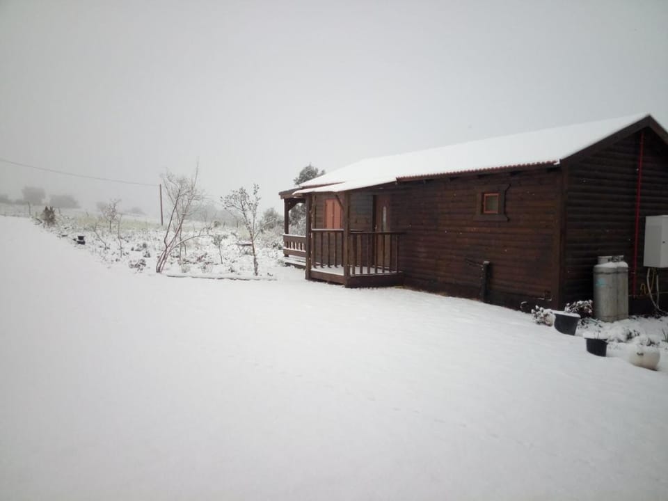 Property building, Winter