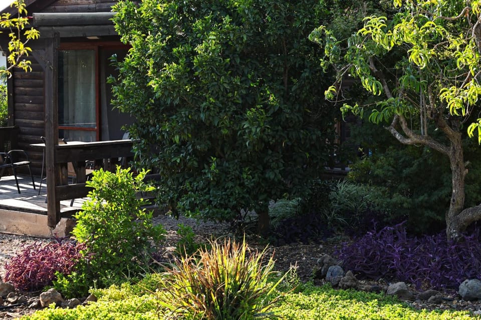 Property building, Day, Garden, Garden view