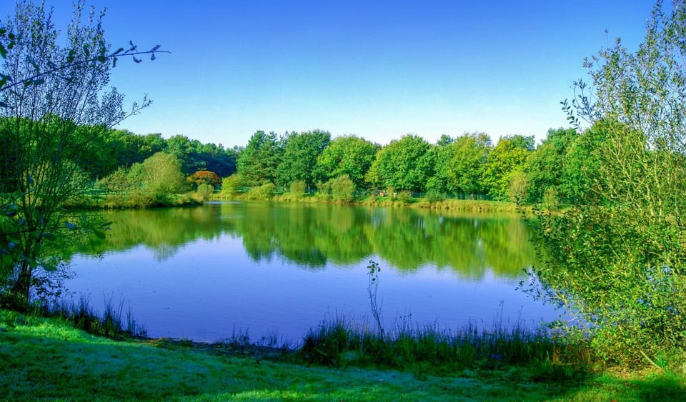 Lake view