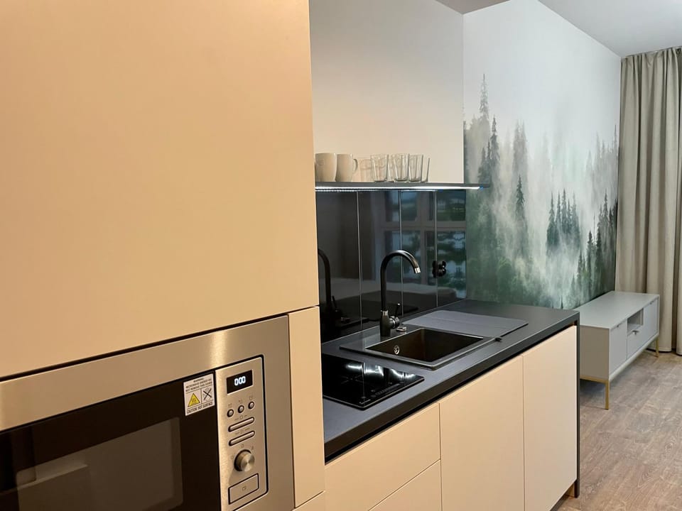 Kitchen or kitchenette, minibar, pet friendly, stove