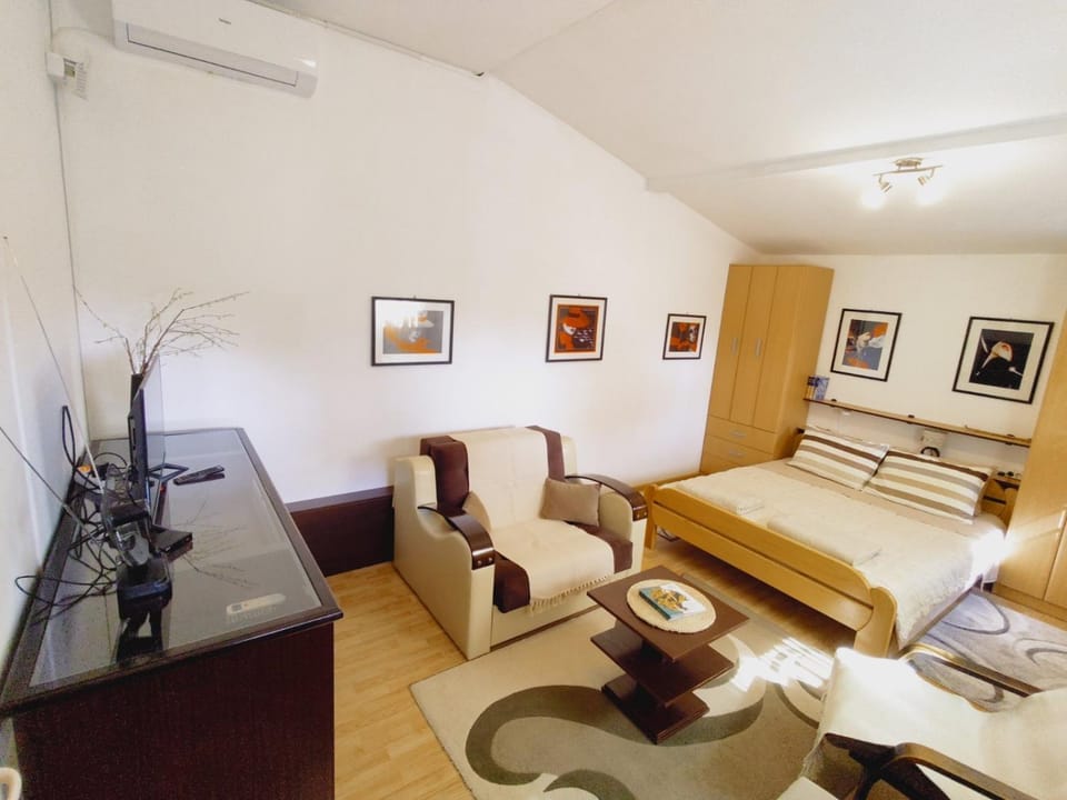 TV and multimedia, Living room, Seating area, locker, air conditioner