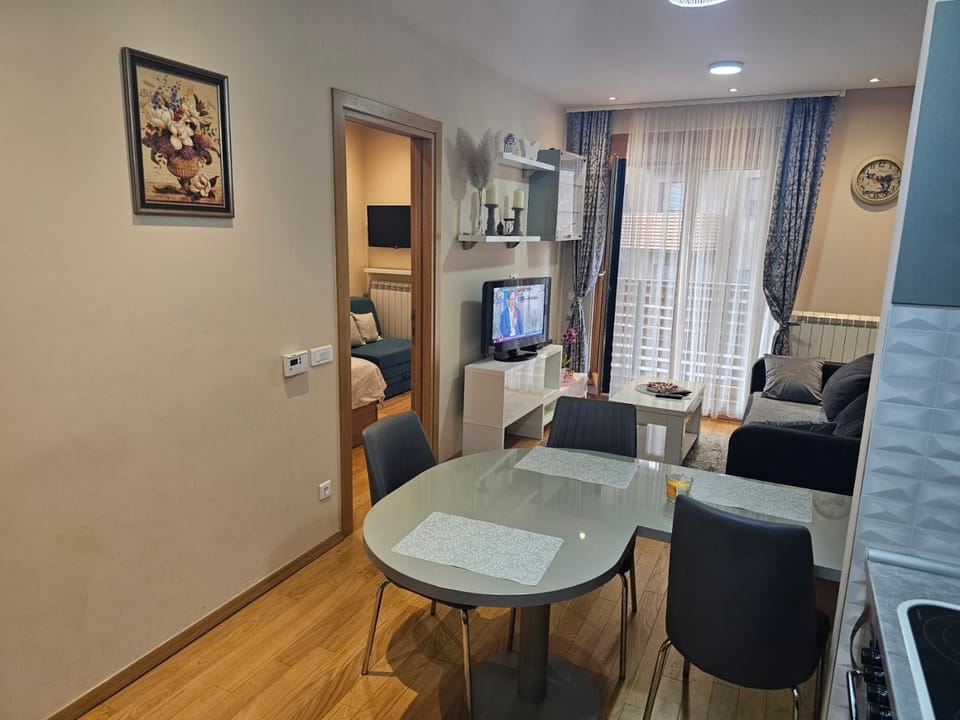 Apartman Andjela Zlatibor Apartment in Zlatibor