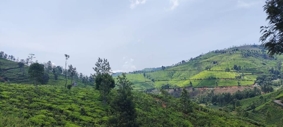 Sandy 4 Bhk Homestay - Only Adults Allowed House in Ooty