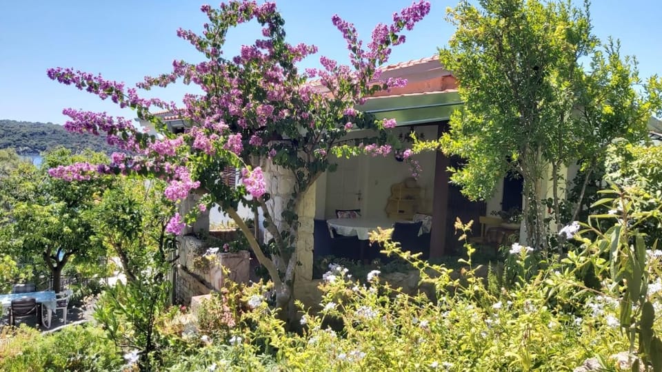 Garden, View (from property/room), Sea view, Sea view