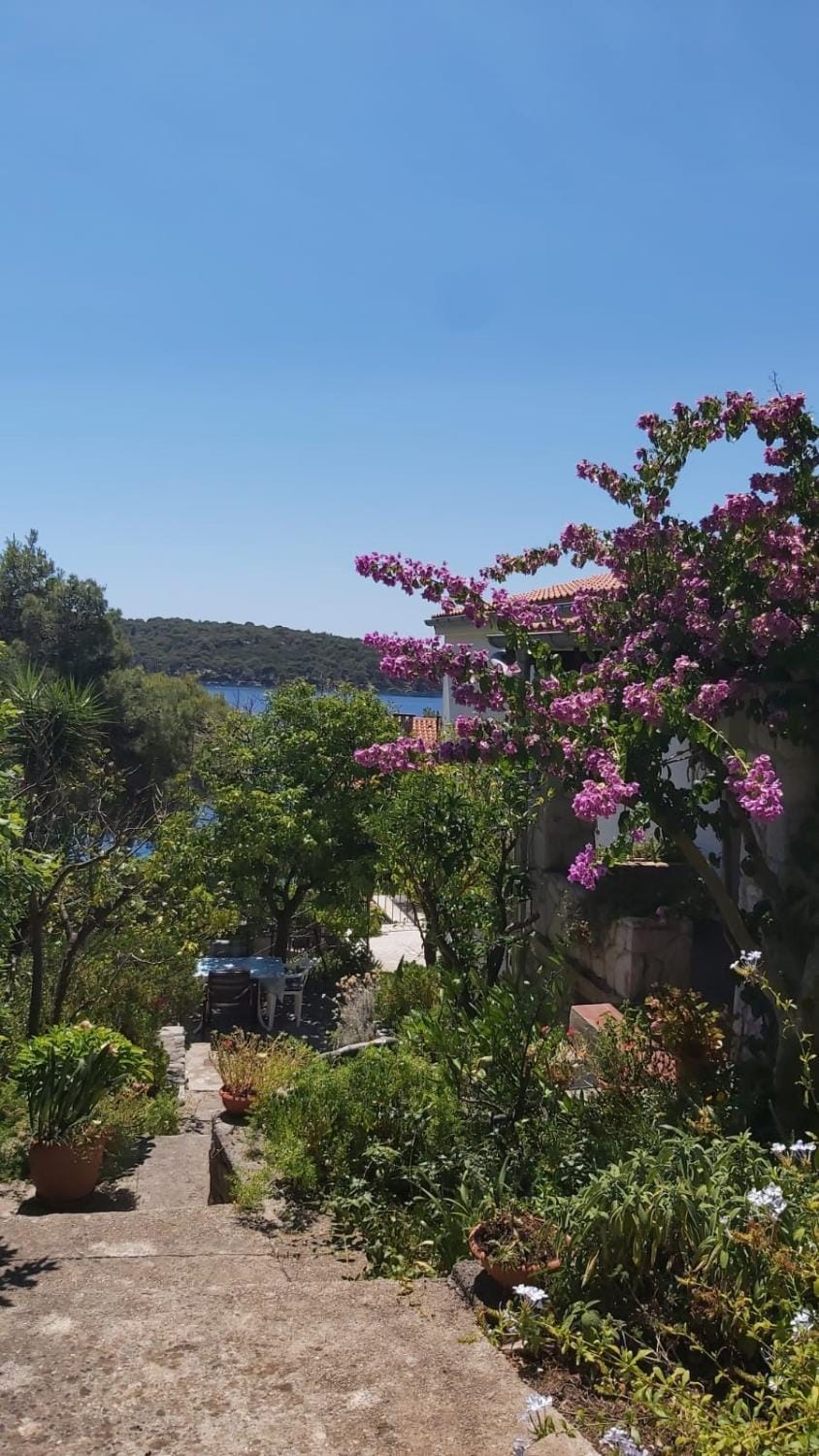 Garden, Sea view