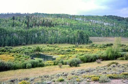 Wapiti Retreat at 22 West Cabins and Recreation Cabin in Colorado
