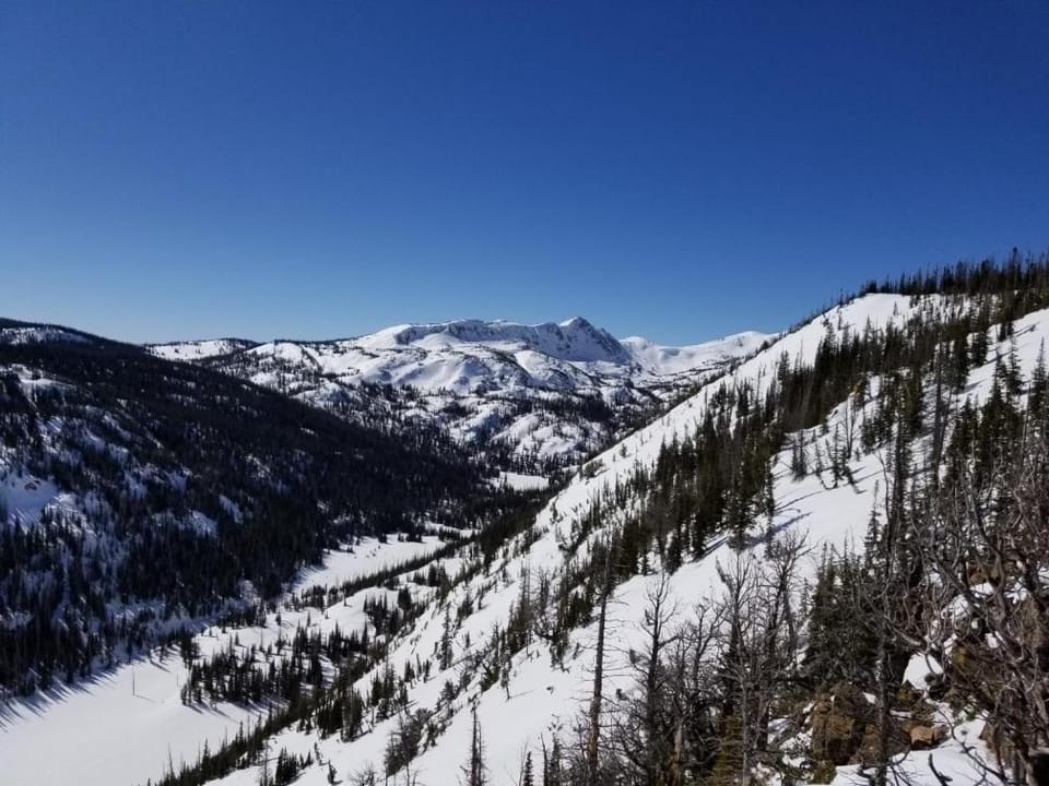 Whistle Pig Retreat at 22 West Cabins and Recreation Cabin in Colorado