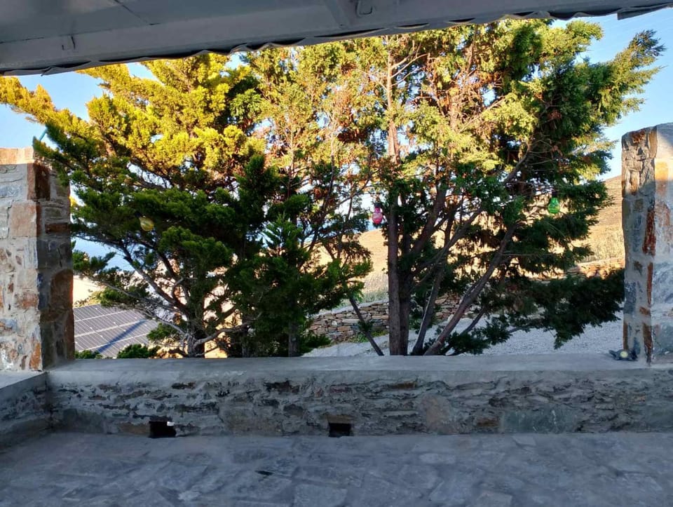 Spring, Garden view