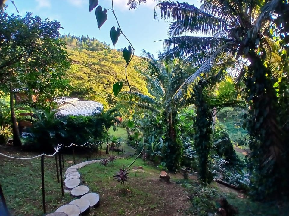 Garden view