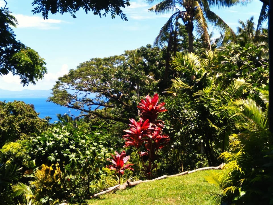 Garden, Sea view