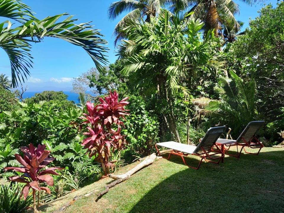 Garden, Balcony/Terrace, sunbed