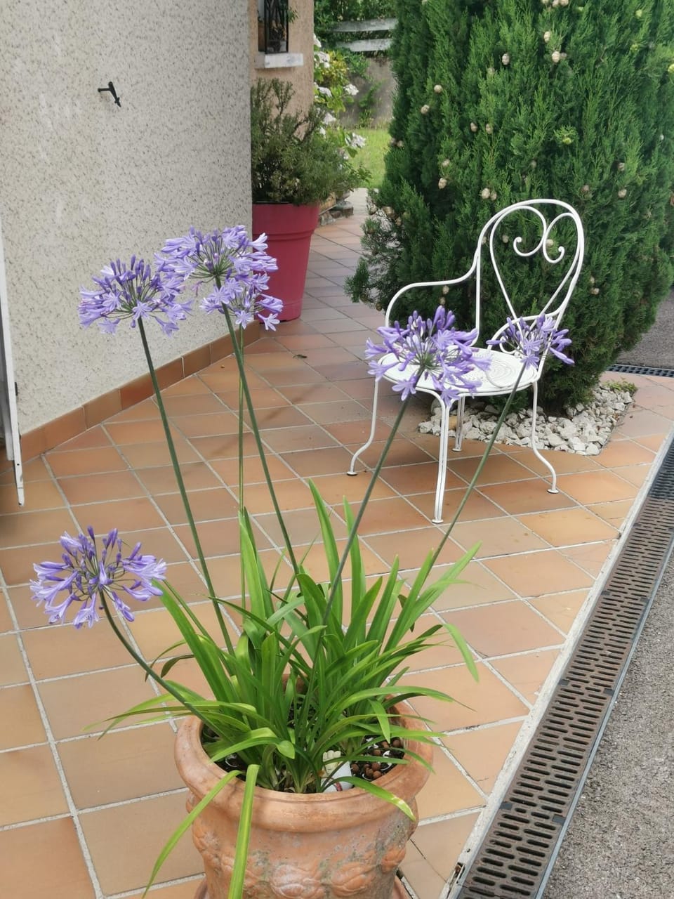 Spring