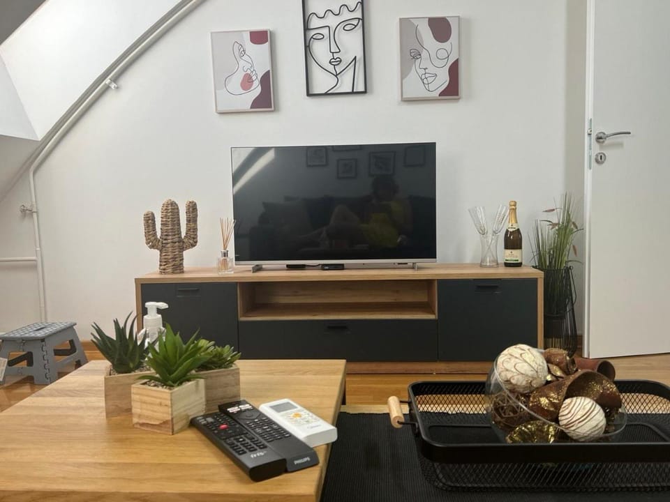 TV and multimedia