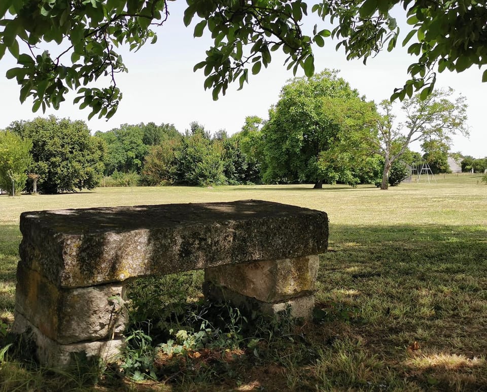 Garden, Seating area, Garden view