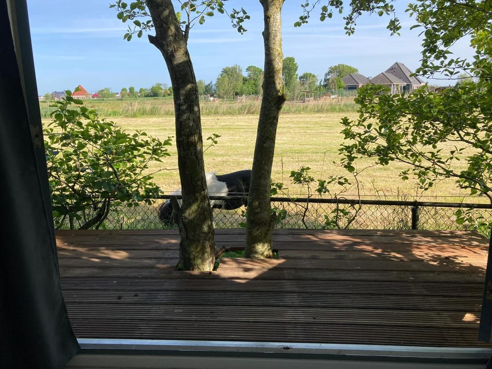 Het oude strandhuis Bed and Breakfast in North Holland (province)