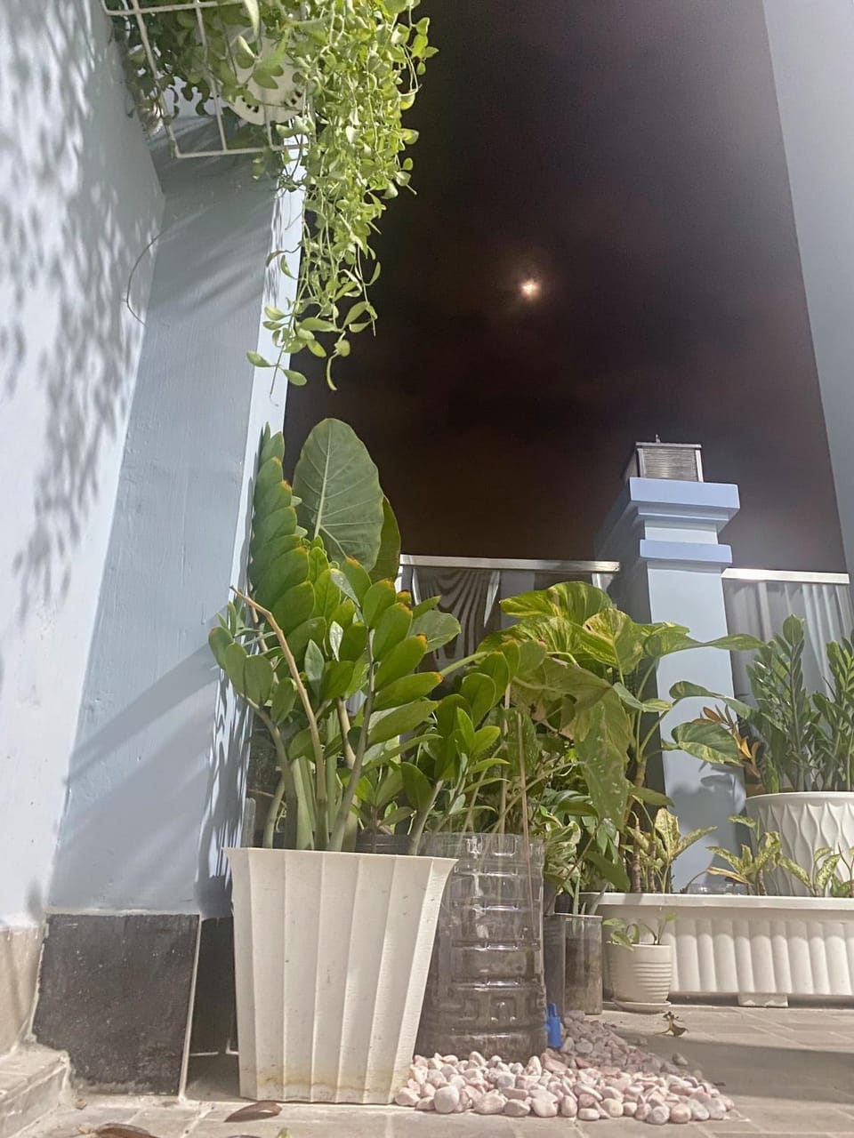 Balcony/Terrace, Garden view