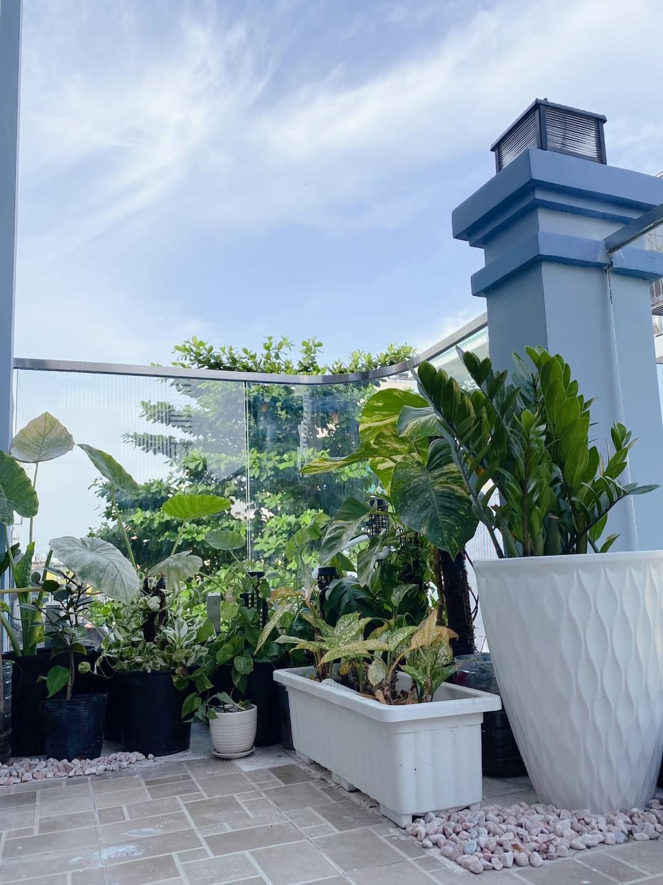 Day, Balcony/Terrace