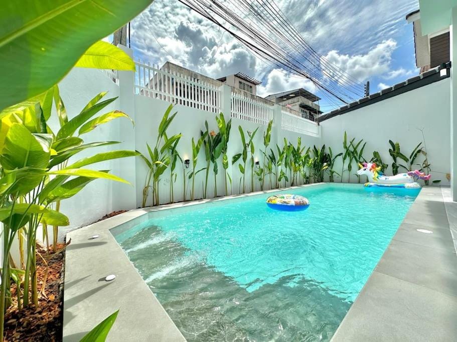 Day, Natural landscape, Garden view, Pool view, Swimming pool, sunbed