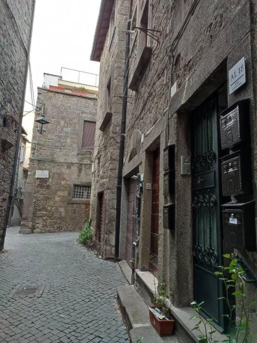 Property building, Neighbourhood, Street view