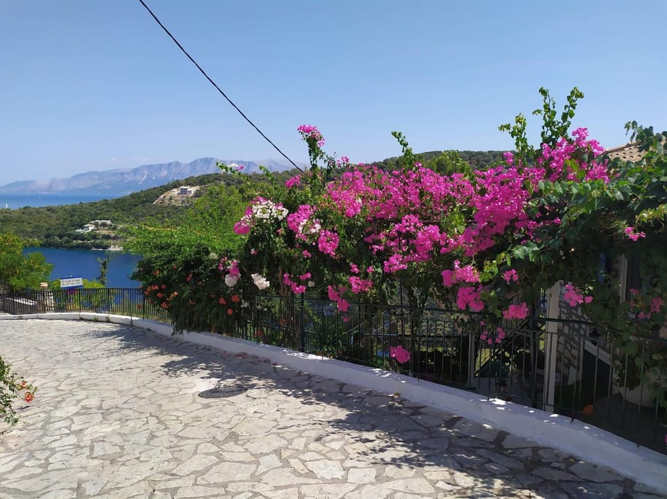Neighbourhood, Natural landscape