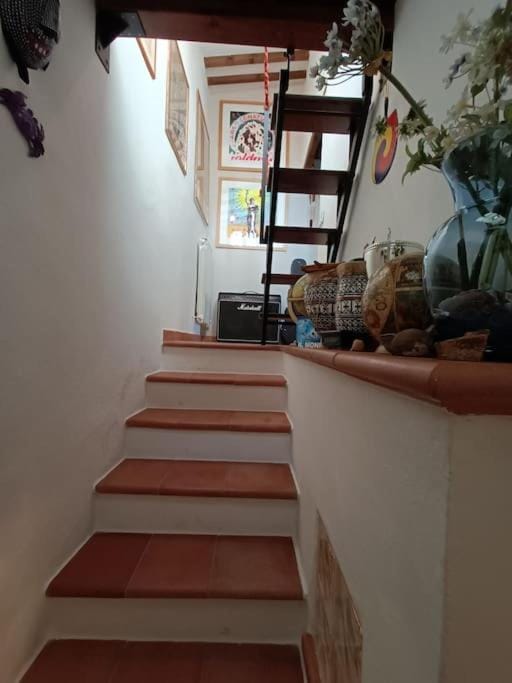 La Casa di Roby Apartment in Umbria